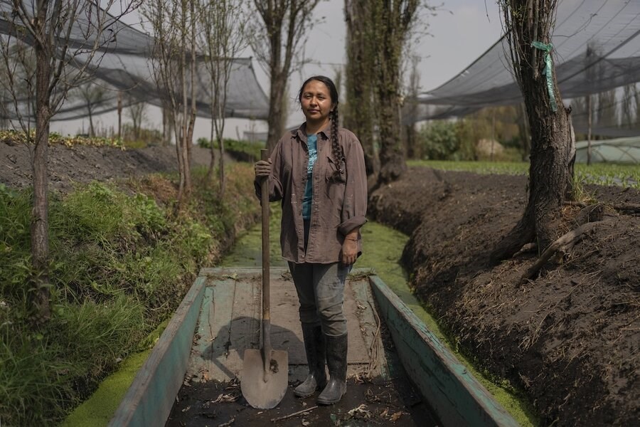 Picture of Mexico City sees potential soccer fields. But garden farmers fight to preserve a legacy.