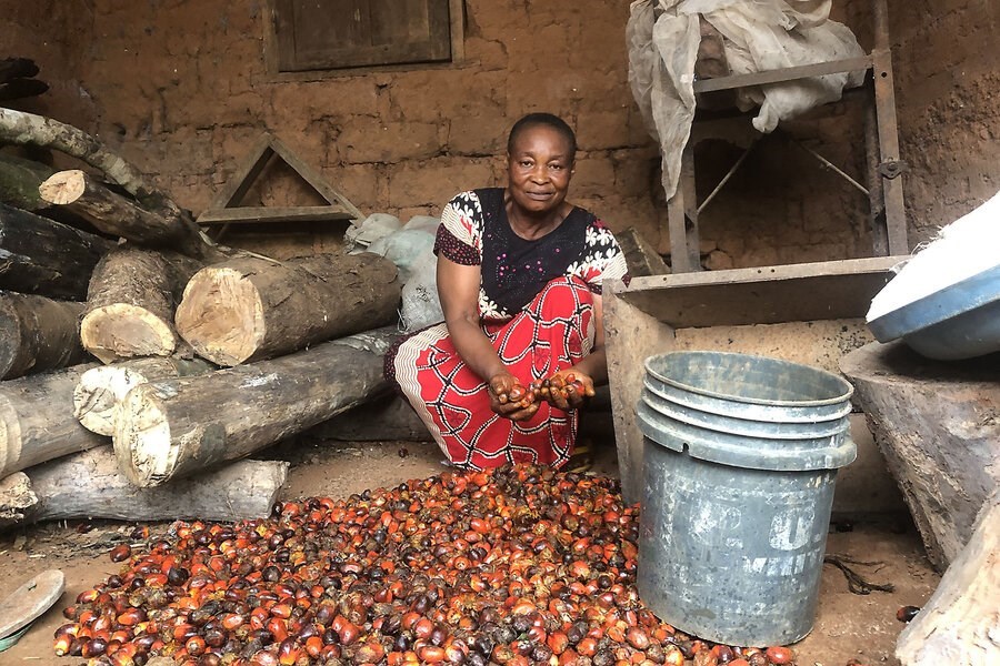 Picture of Loggers were stealing the forest. These women started stealing their chain saws.