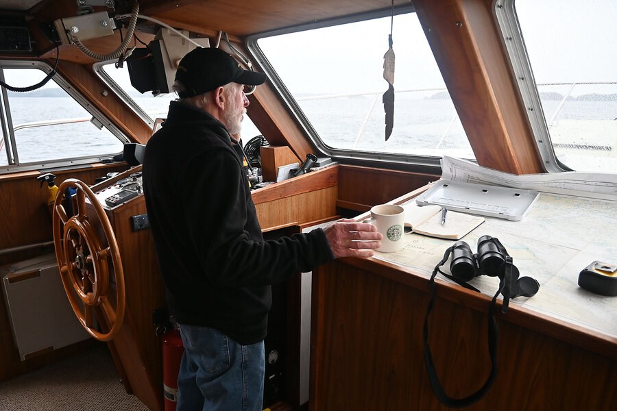 Picture of After a Canadian orca pod’s decline, now ‘you can see the whales coming back’