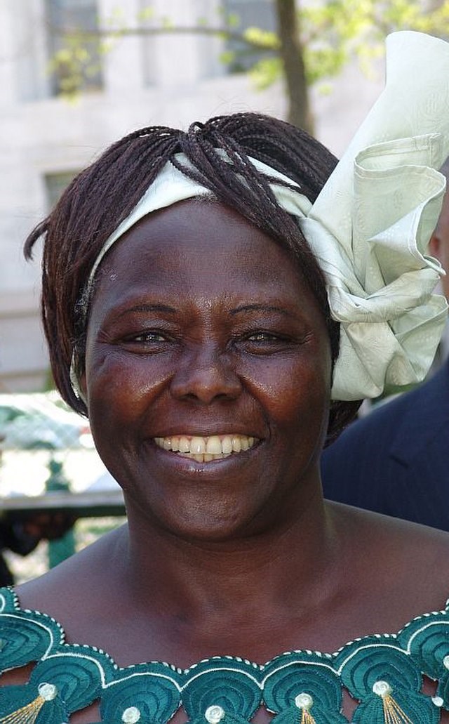 Picture of Wangari Maathai: Early Reader Edition