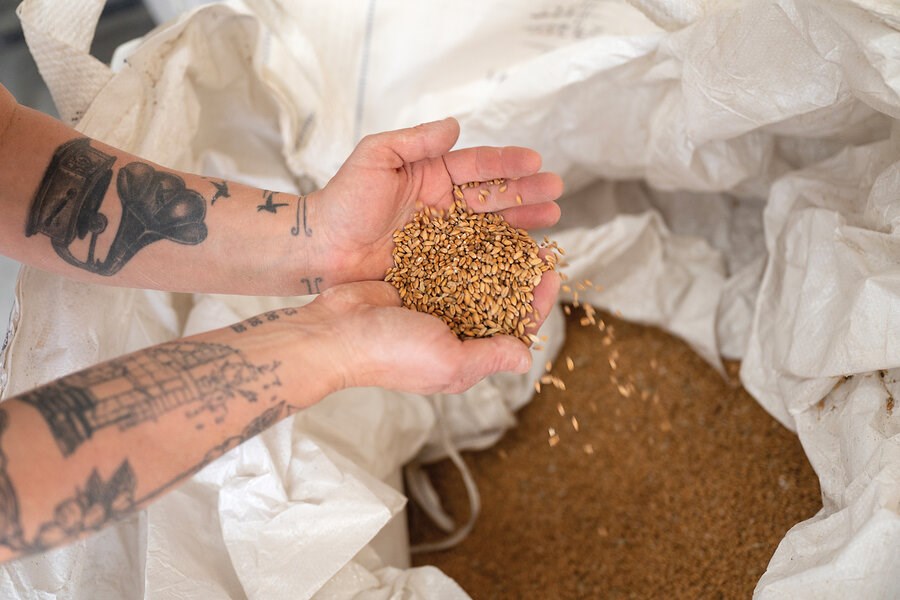 Picture of Local, organic, and bipartisan: How Vermont is challenging Big Food