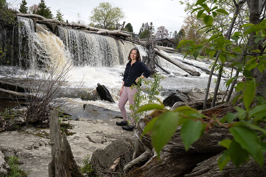 Picture of Go, fish. How removing old New England dams is opening rivers to new wildlife.