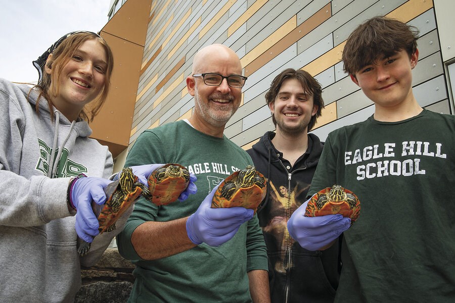 Picture of These turtles are endangered. Young scientists have stepped up to help.