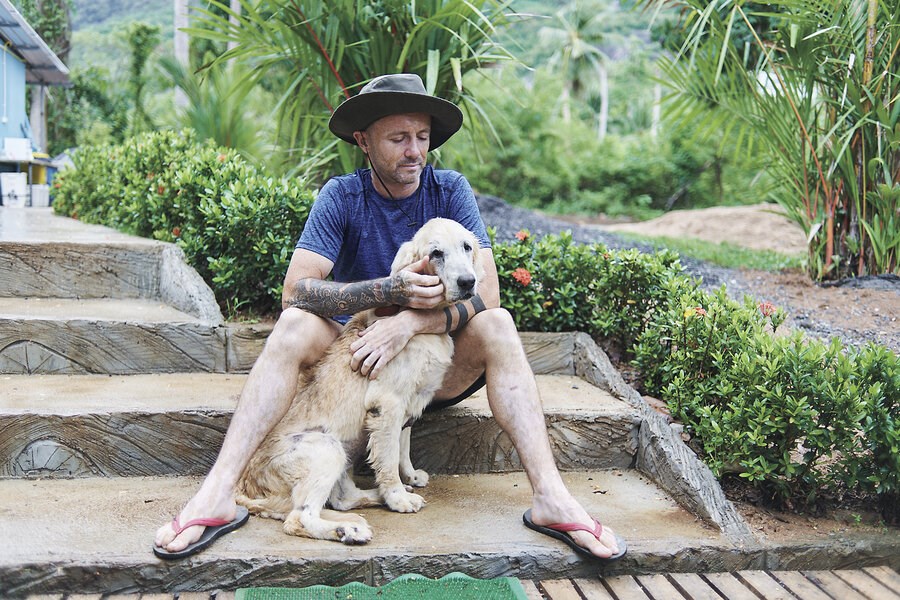 Picture of Street dogs gave him hope during dark days. Now he’s returning the favor.
