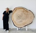 Picture of We Are Here: A Feminist History in Tree Rings