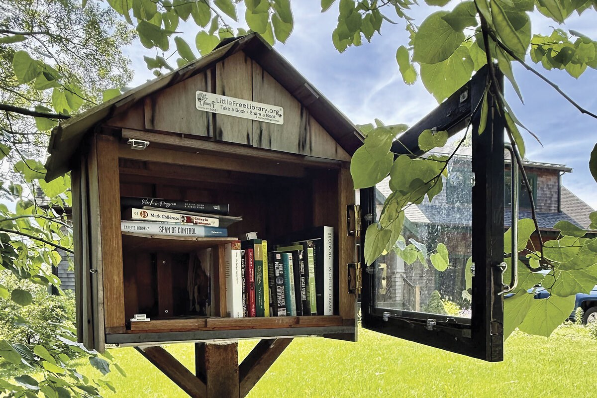 Picture of A cupboard full of ‘wild books’: Singing the praises of Little Free Libraries