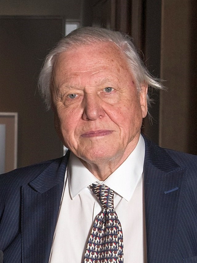 Picture of Sir David Attenborough: Early Reader Edition