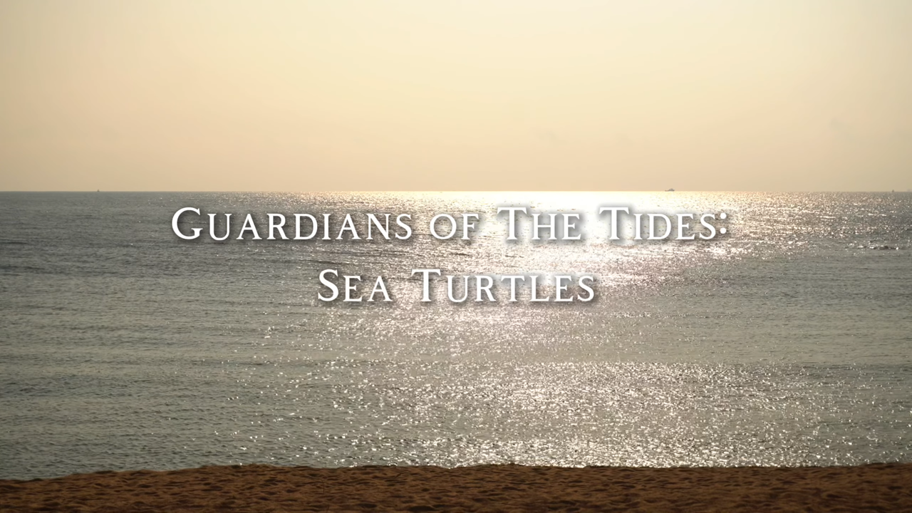Picture of Guardians of the Tide are Finalists for Sylvia Earle Award