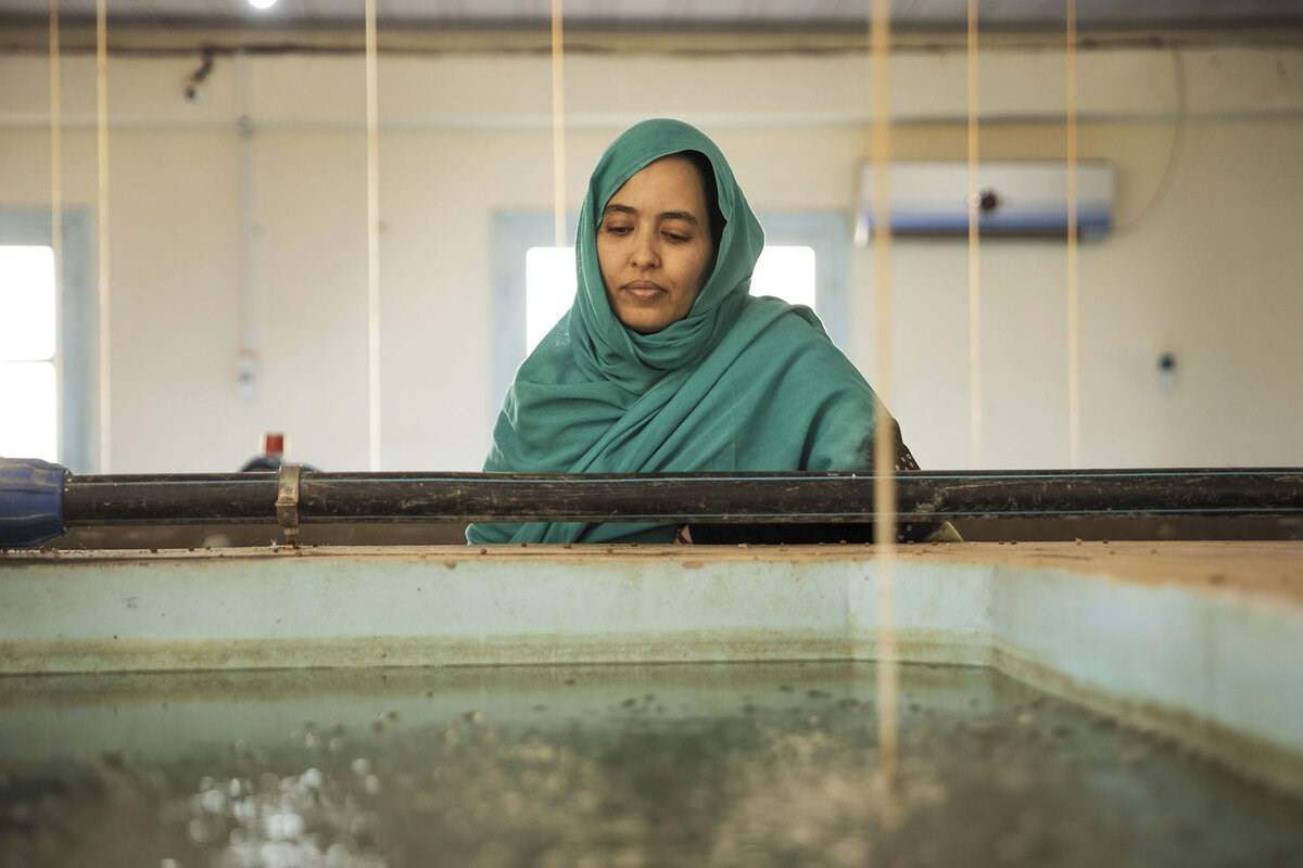 Picture of A fish farm in Algeria is bringing the sea’s bounty to the Sahara