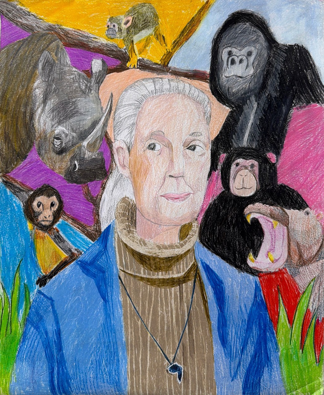 Jane Goodall - My hero saving chimpanzees