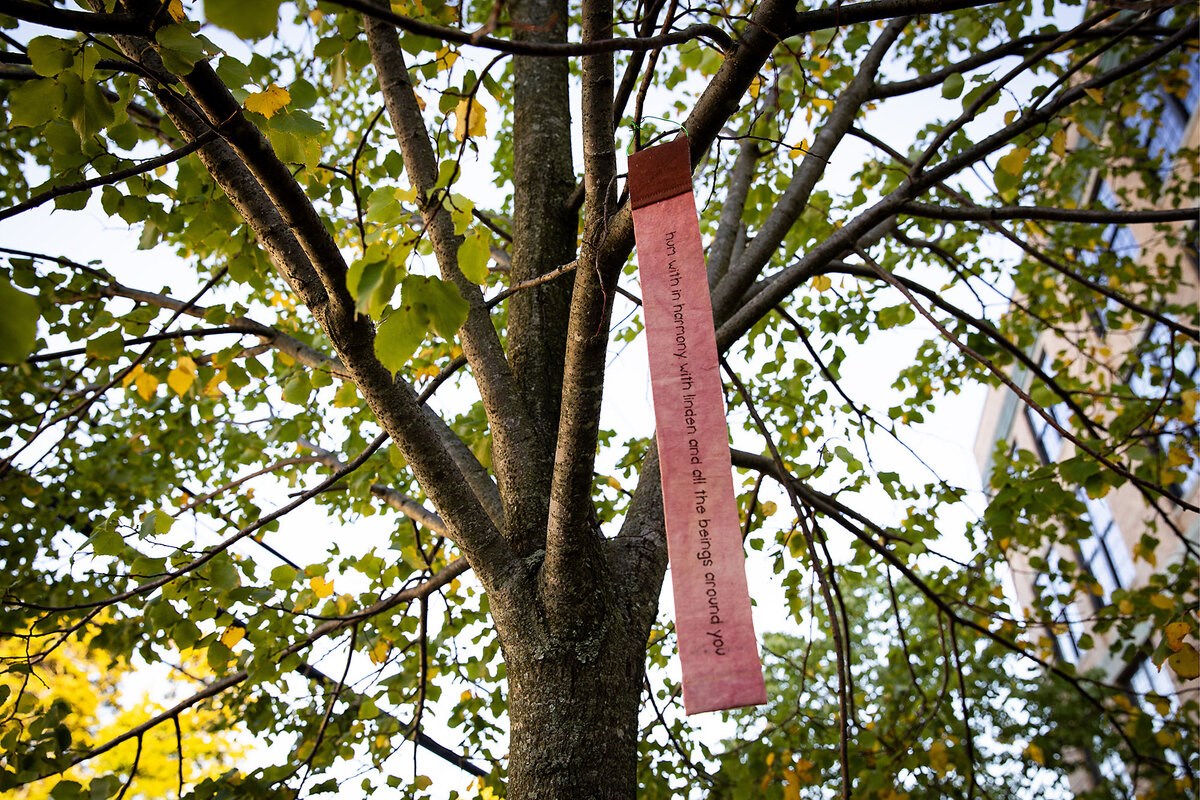 Picture of In Boston, an artist invites neighbors to speak for the trees