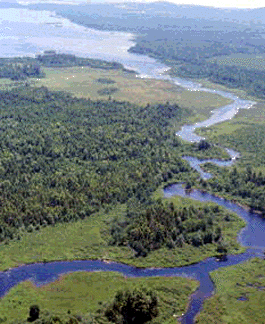 <center>An aerial view of the Louisiana wetlands <br>Credit Tom Abello, The Nature Conservancy <br>https://www.fws.gov/feature/machiasriverphoto.htm<br></center>