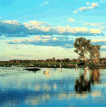 <center>Landscapes of Kakadu <br>http://www.deh.gov.au/parks/kakadu/<br>imagegallery/landscapepics.html</center>