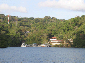 The Smithsonian Tropical Research Institute in Panama.   Photo courtesy of the SMTI