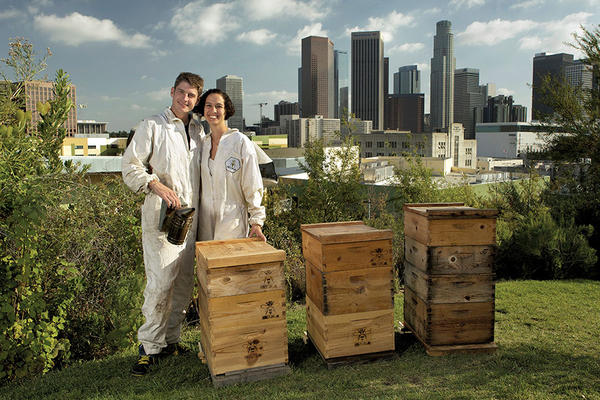 HEAD OF THE HIVE: Rob and Chelsea McFarland, who founded the nonprofit HoneyLove, stand beside urban beehives outside Los Angeles. Rebecca Cabage/Special to The Christian Science Monitor