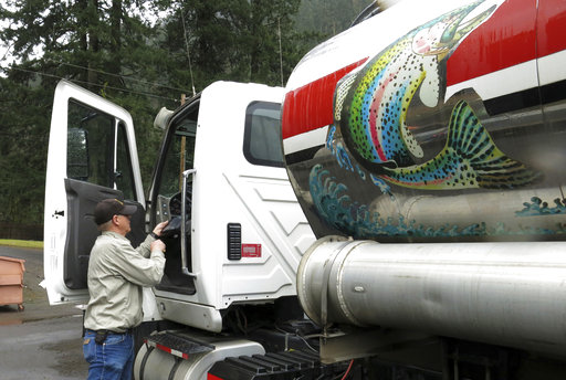 David Bronson, a driver who trucks coho salmon in water tankers for the state of Oregon, prepares to get into a truck filled with hundreds of baby coho salmon at the Cascade Fish Hatchery in Cascade Locks, Ore., on March 8, 2017. The Oregon Department of Fish and Wildlife, working with the Nez Perce tribe, is trucking 500,000 baby coho salmon 300 miles from the hatchery outside Portland to a remote corner of northeastern Oregon to reintroduce the species to the Lostine River. (AP Photo/Gillian Flaccus)