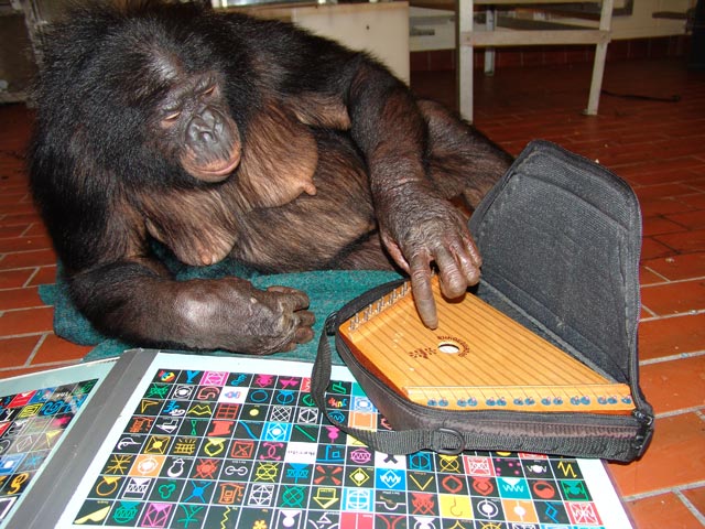 Panbanisha and musical instrument<br>Photo from greatapetrust.org