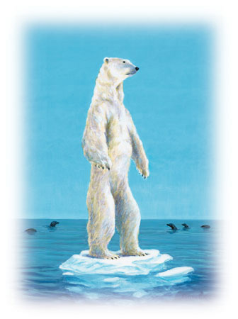 Polar Bear in danger from Climate Change. (google.com, Ilustrated by John Bowdoin)