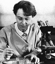 Barbara McClintock, Cold Spring Harbor Laboratory <br>(www.cshl.edu)