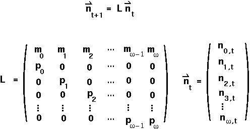 Leslie Matrix (zoology.ubc.ca)