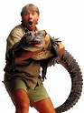 Steve Irwin is holding a crocodile 