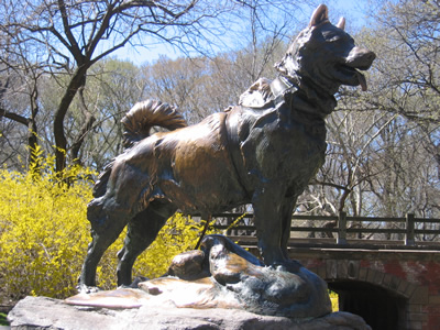 Balto's Statue in Central Park (http://www.centralpark.com/pages/attractions/balto.jpg)