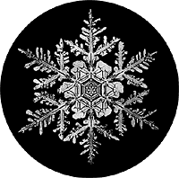 <center>Beautiful snowflake<br>( www.suite101.com/article.cfm/13646/96746)</center>