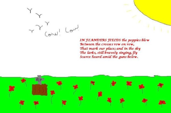 Flander's Field's