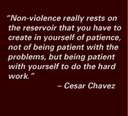 Another one of Cesar's quotes. (http://www.ask.com/pictures?<br>q=Cesar+Chavez&<br>search=&qsrc=0&o=0&l=dir)