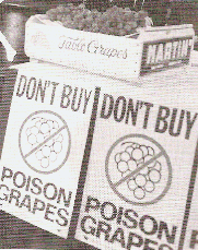 Don't Buy Poison Grapes (Zannos, S. (1999). Cesar Chavez A Real-Life biography. Childs, MD: Mitchell Lane Publishers, Inc. p. 28.)