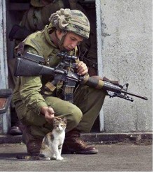 Soldier with a cat (http://moochieandco.ning.com/main/sharing/share?id=1025146%253APhoto%253A6066)