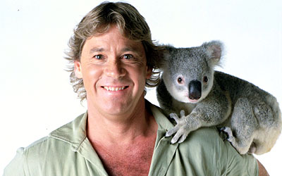 Steve Irwin with a koala on his shoulder. (I got this picture from Google Images.)