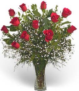 A Dozen Red Roses (www.alyssasflowershop.com)