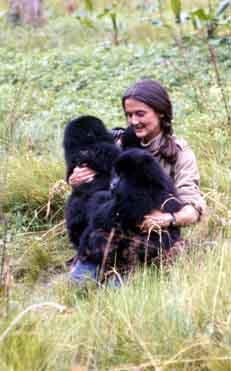Dian holding a baby gorilla (http://www.gorillas.org/_Images/37/Full/System!DianFossey.jpg)