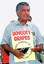 boycotting with a crowd of farm workers. (http://www.judyflemingcoss.com/OilGallery.html)