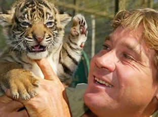 Steve Irwin holding a baby tiger (http://www.milanapartments.me/images/steve-irwin.jpg)
