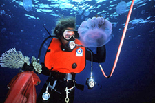 Earle studying a jellyfish (www.achievement.org/.../ear0/large/ear0-012.jpg)