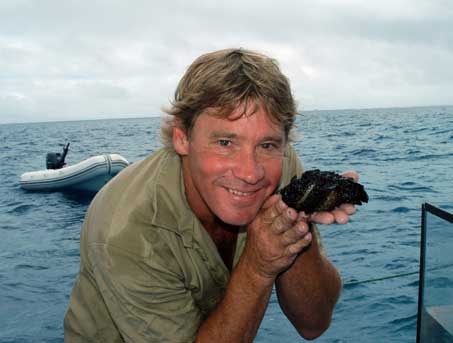 Steve Irwin posing with a stonefish (http://news.aol.ca/article/Dad-Says-Crocodile-Hunter-Suffered/187673/)