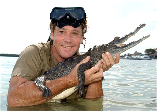 Steve Irwin holding a crocodile. (http://animal.discovery.com/convergence/oceans-deadliest/steve-irwin/steve-irwin_zoom.html)