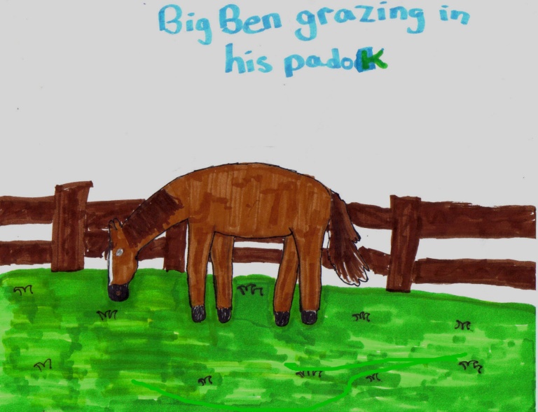 This is a picture of Big Ben grazing. (I drew it.)