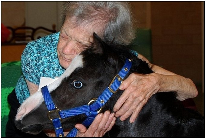 Magic Inside An Assisted Living Program (Debbie Garcia-Bengochea)