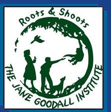 This is the logo for the Jane Goodall Institute (google images)