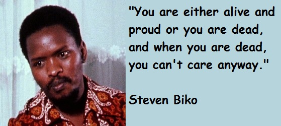 cry freedom steve biko