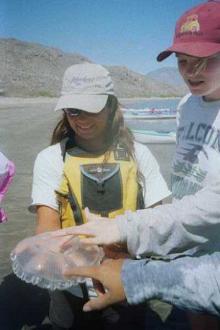 Aracely (left) showing students a jellyfish (Personal Photo)