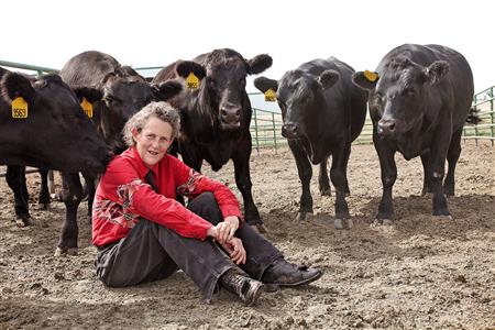 temple grandin inventions