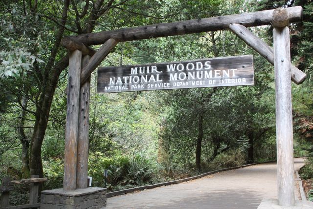 Muir Woods National Monument (lomaprieta.sierraclub.org/80/johnmuir (Sierra Club Staff))
