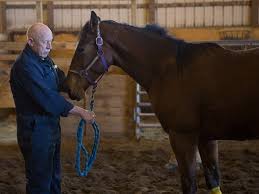Dr. Pol with a horse. (National Geographic website ())