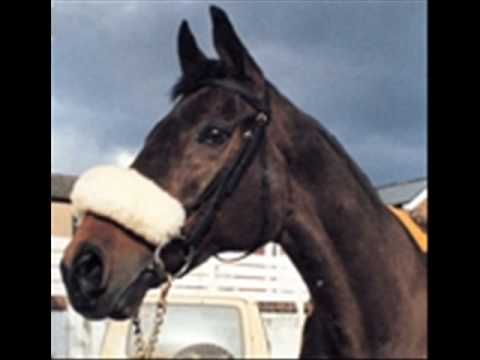 Red Rum ready to race