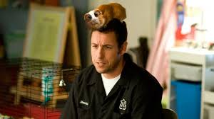 Adam Sandler in scene from Bedtime Stories (https://www.google.com/search?q=adam+sandler+portr (www.craveonline.com))