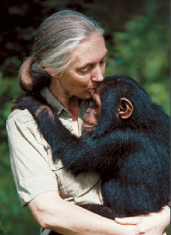 Jane Goodall | MY HERO